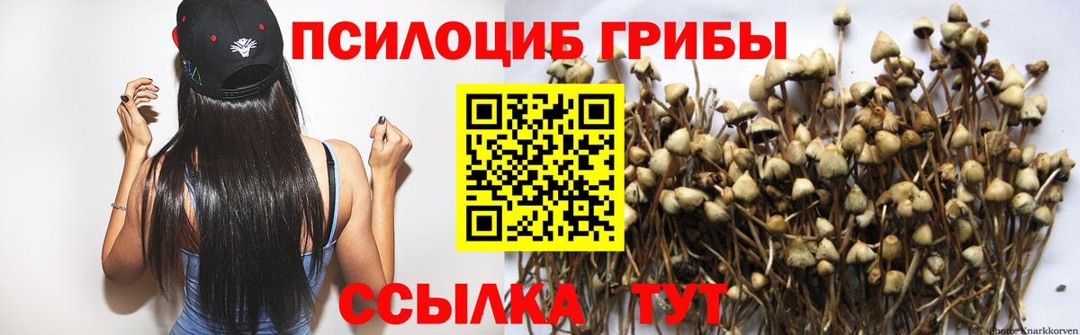 Псилоцибиновые грибы ЛСД  Вход с VPN  Москва 