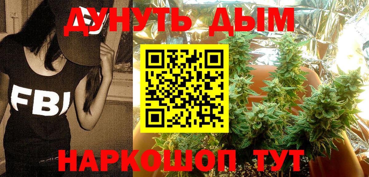 Бошки марихуана THC 21%  Конопля семена  Вход с VPN  Москва  Бошки марихуана SATIVA & INDICA 